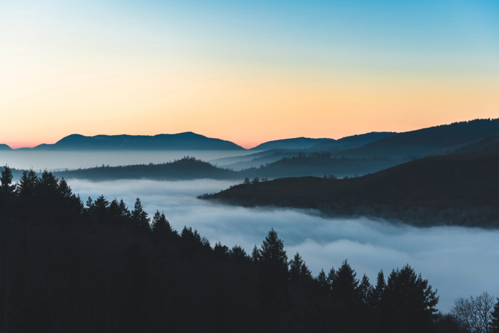 Mer de nuages dans les Vosges